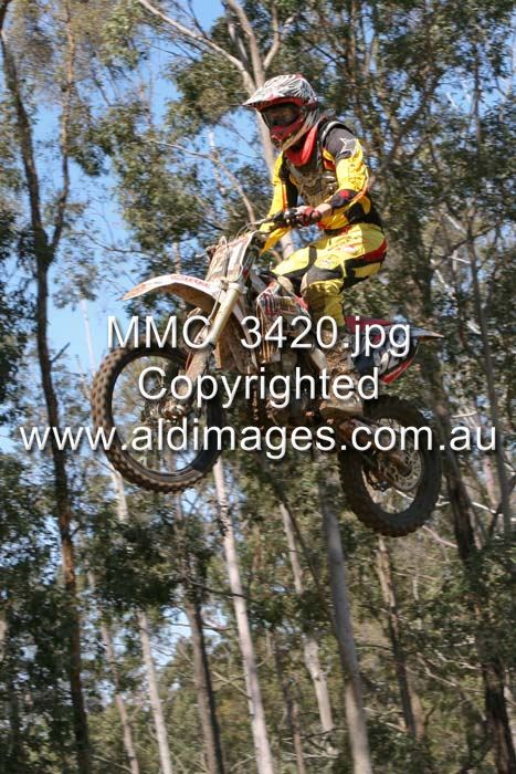 445x677 pixels (98K)